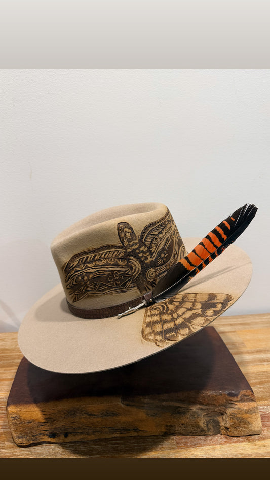Female Black & Red Cockatoo with Female Feather